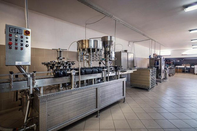 winemaker-for-a-day-tour-an-organic-winery