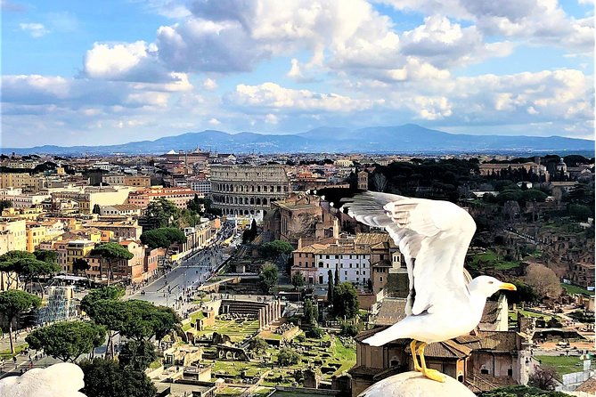 wow-tour-coliseum-vatican-squares-luxury-car-tickets-lunch