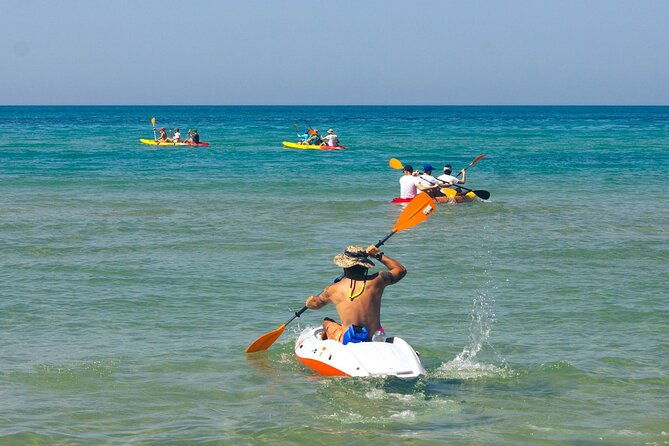 wwf-kayak-tour-from-cala-manbru-to-torre-salsa-reserve