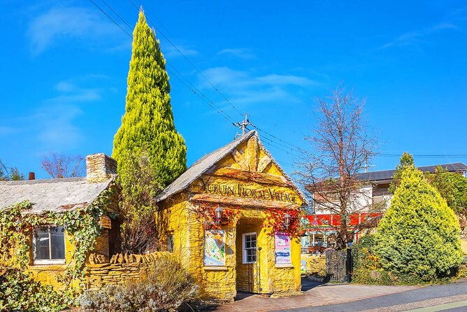 yufuin-kinrin-lake-sea-hell-hot-springs-kyushu-zoo-from-fukuoka
