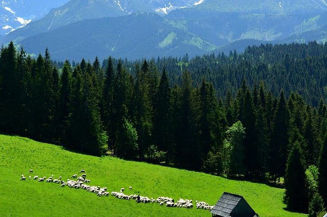 zakopane-thermal-springs-funicular-cheese-tasting