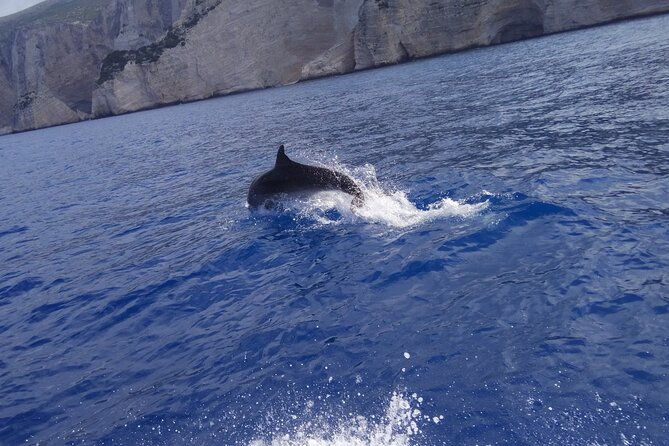zakynthos-all-day-tour-shipwreck-beach-view-point-blue-caves