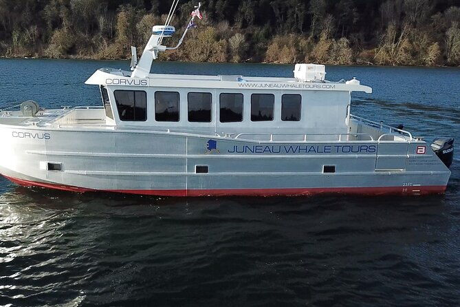 3-5-hour-crowd-skipping-whale-tour-in-juneau-alaska