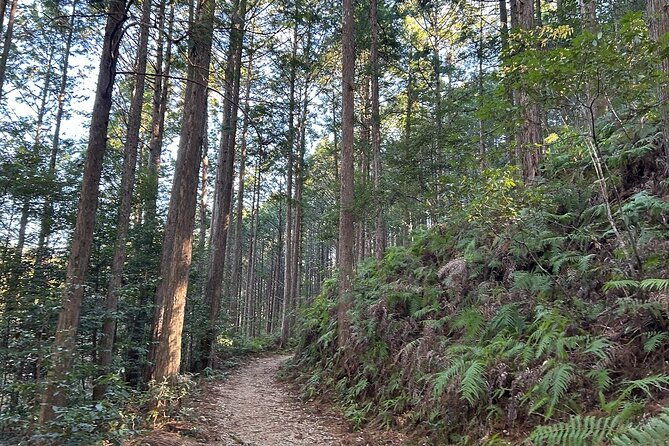 3-day-kumano-kodo-pilgrimage-route-walking-tour-from-osaka