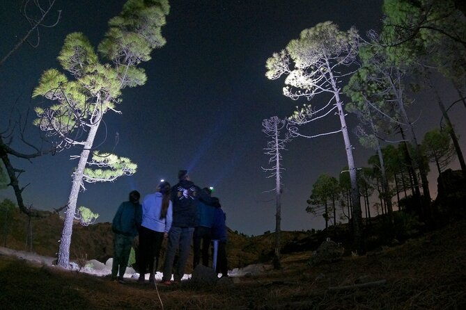 3-hours-astronomy-hiking-experience-in-roque-nublo-mountains