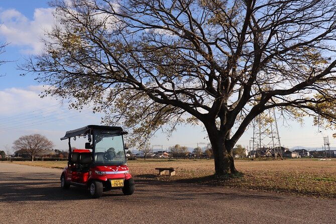 3-hours-historical-tour-of-princess-saio-on-an-electric-cart