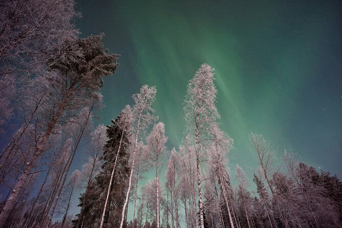 3-hours-northern-lights-hunting-in-rovaniemi