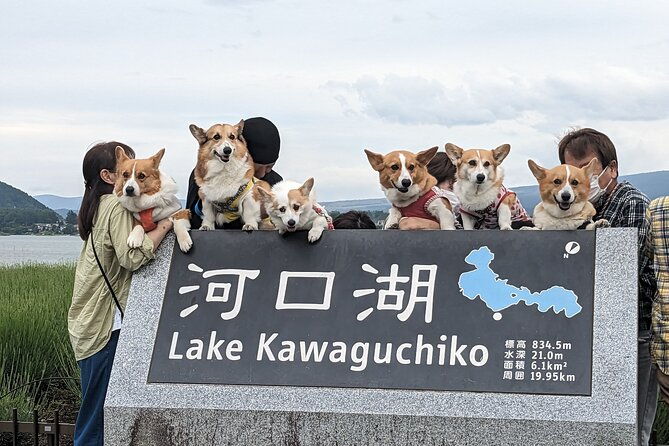 1-day-private-mt-fuji-lake-kawaguchiko-english-speaking-driver