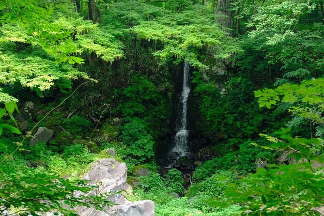 1-day-tour-explore-nikkos-world-heritage-and-national-park