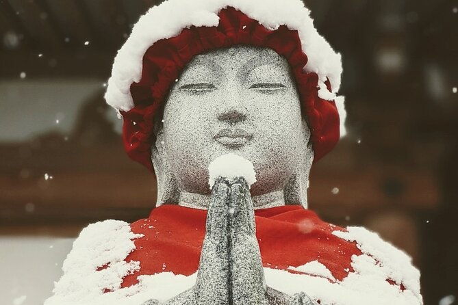 1-day-winter-tour-from-nozawa-onsen-snow-monkeys-zenko-ji-temple-sake