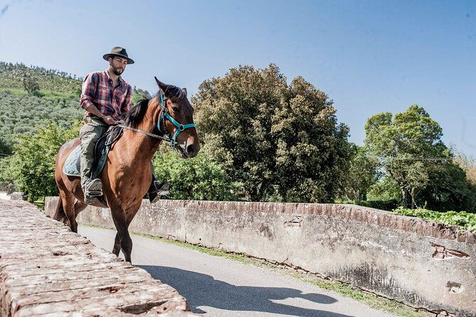 1-hour-horseback-ride-in-valgraziosa-pisa