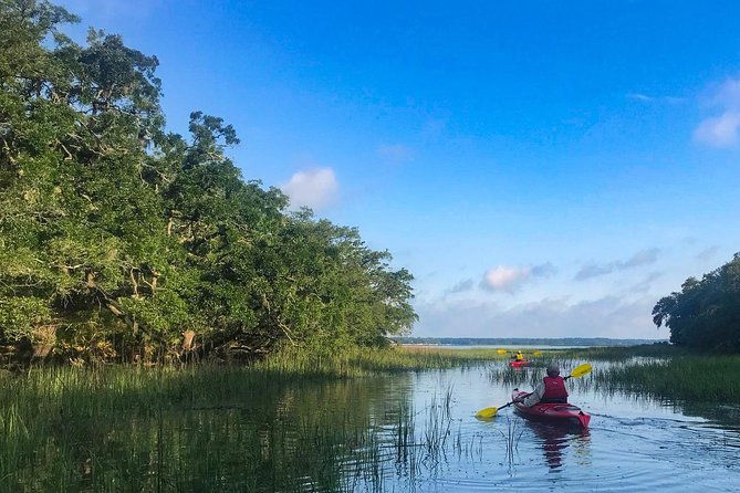2-hour-hilton-head-guided-kayak-nature-tour