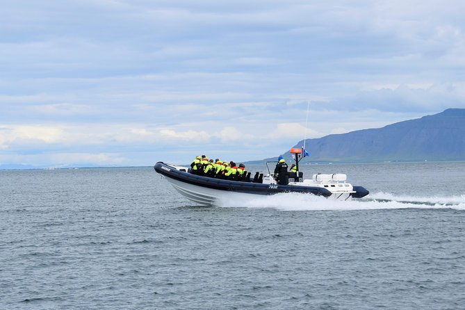 2-hour-rib-boat-whale-watching-tour-from-reykjavik