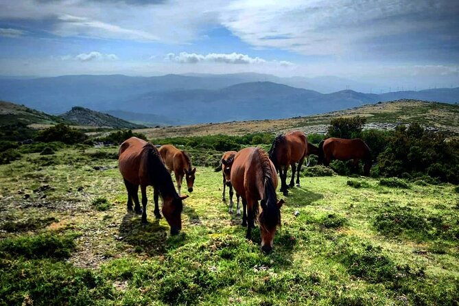 2h-buggy-tour-arcos-de-valdevez-peneda-geres