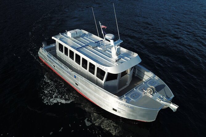 3-5-hour-crowd-skipping-whale-tour-in-juneau-alaska