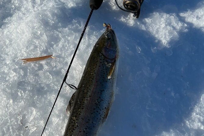 3-hour-ice-fishing-experience