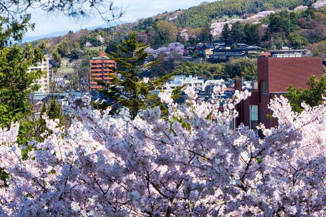 4-hour-unique-kanazawa-cherry-blossom-sakura-private-experience