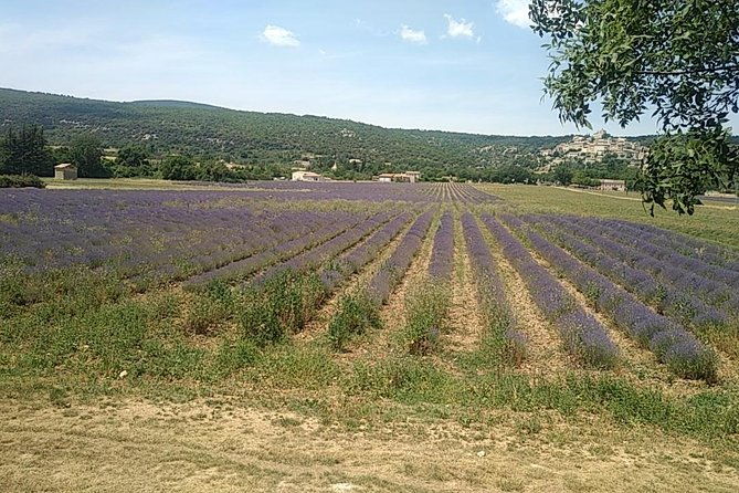 5-hour-private-sightseeing-tour-of-the-provence-from-marseille-in-luxury-car