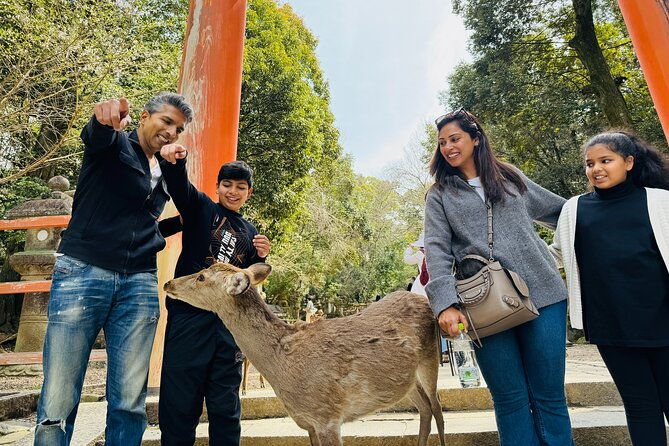 7hr-private-guided-van-tour-nara-matcha-farm
