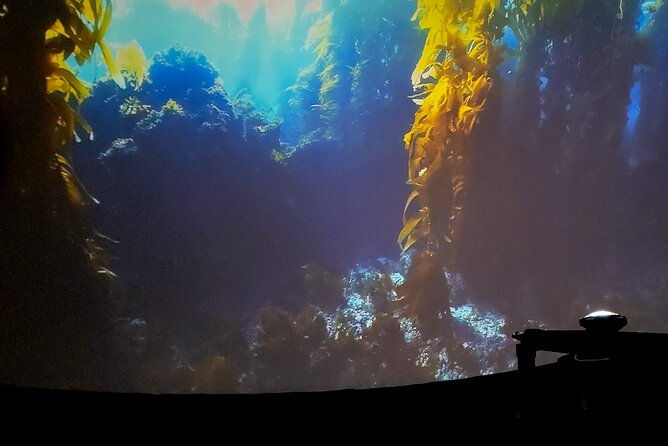 a-360-immersive-ocean-movie-experience-catalina-island