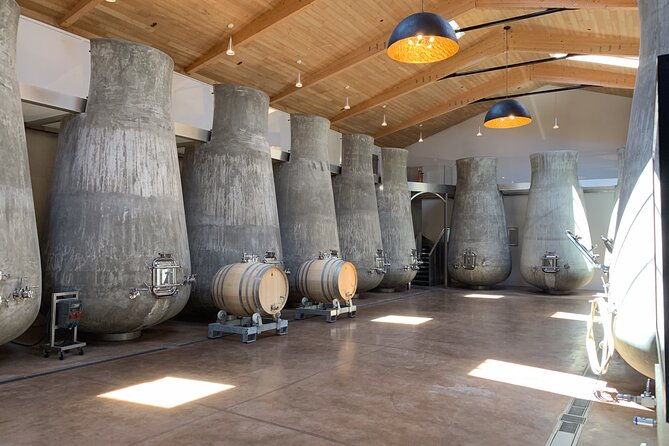 a-day-in-saint-emilion-in-a-small-group-electric-luxury-van