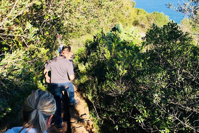 a-private-afternoon-south-of-lisbon-mountain-wines-and-secret-places