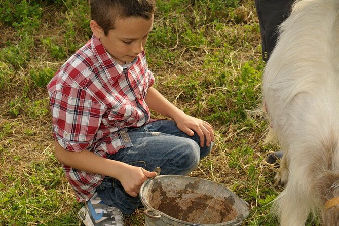 alcamo-farm-animals-and-aromatic-garden