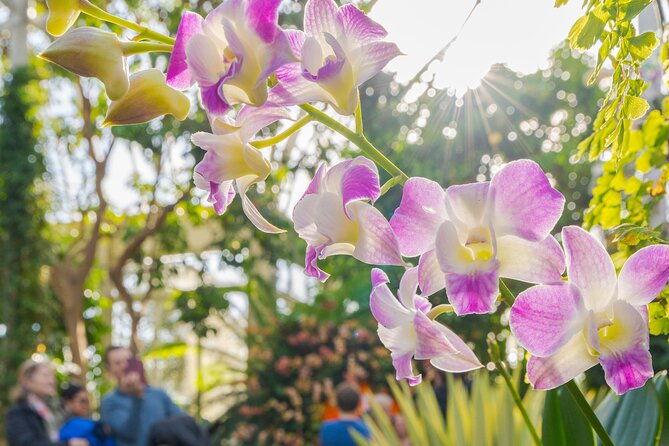 all-garden-pass-for-the-new-york-botanical-garden