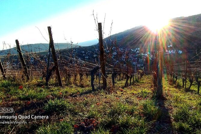alsace-wine-tour-and-medieval-villages-small-group-guided-tour