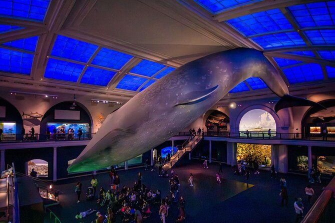 american-museum-of-natural-history-admission-ticket