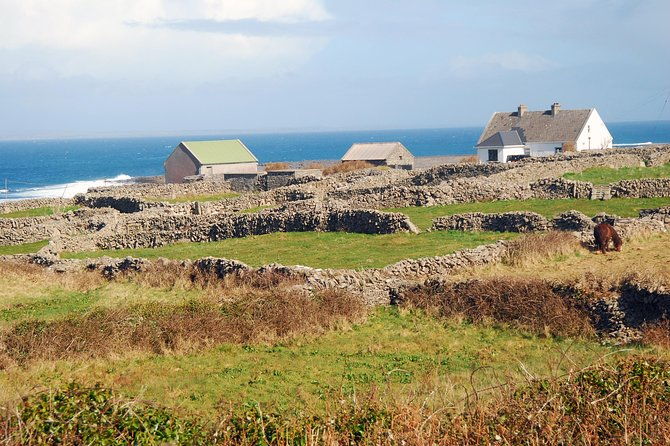aran-island-cliffs-of-moher-cruise-tour-from-galway-guided
