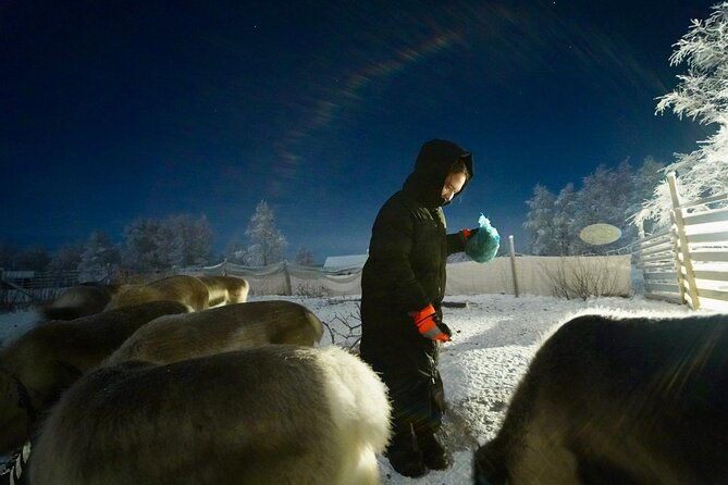 arctic-adventure-with-reindeer-and-northern-lights-hunt-1830-pm