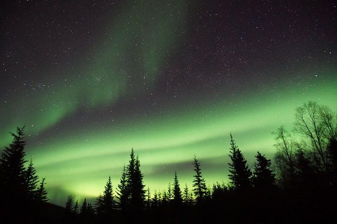 arctic-circle-and-northern-lights-tour-from-fairbanks