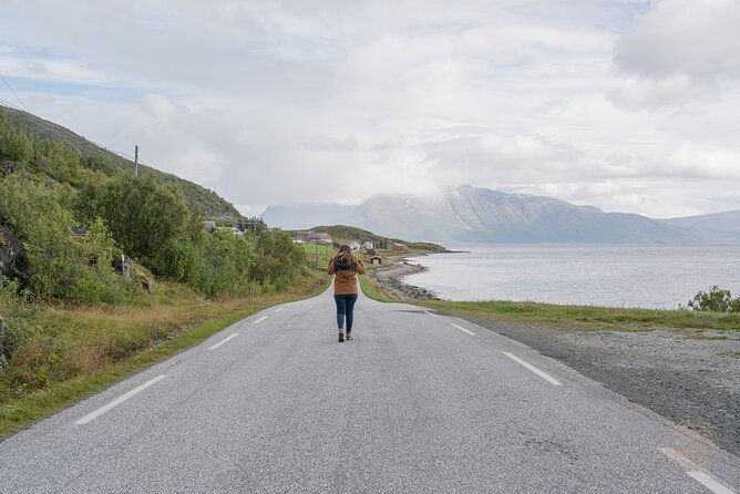 arctic-roadtrip-fjords-with-scenic-picnic-private