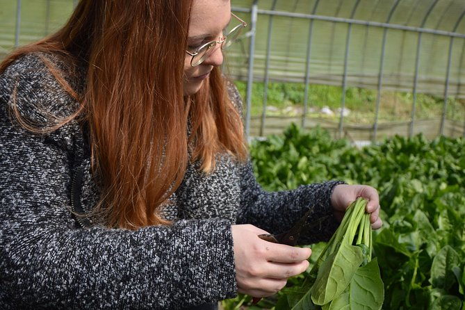 aso-caldera-and-farm-experience-tour