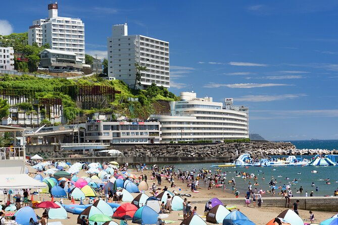 atami-full-day-private-tour-with-government-licensed-guide