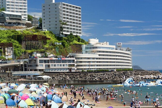 atami-half-day-private-tour-with-government-licensed-guide