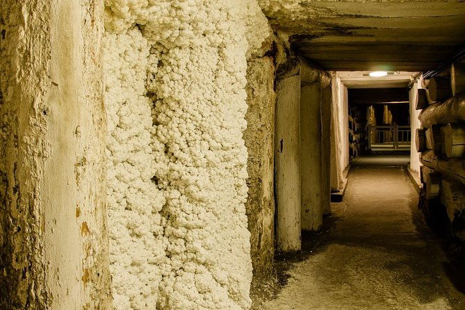 auschwitz-birkenau-and-wieliczka-salt-mine-day-tour-from-krakow-with-private-car