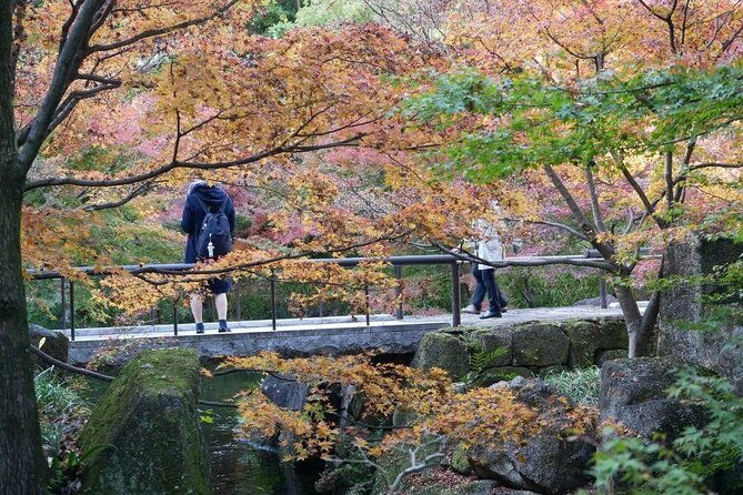 autumn-leaves-private-tour-in-nagoya