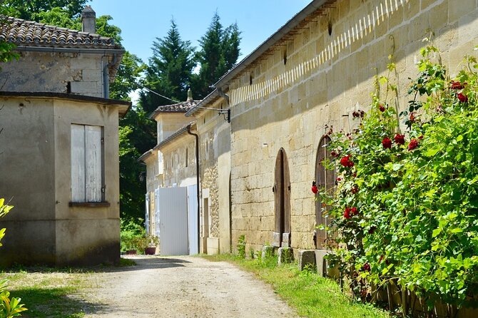 backcountry-e-bike-adventure-from-bordeaux-wine-tasting-lunch