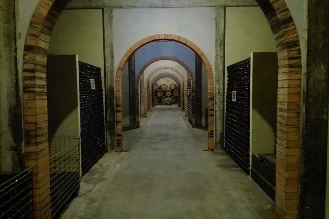 bairrada-winery-route-half-day-from-coimbra