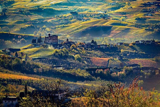 barolo-wine-and-food-tasting-at-piedmont-region-winery