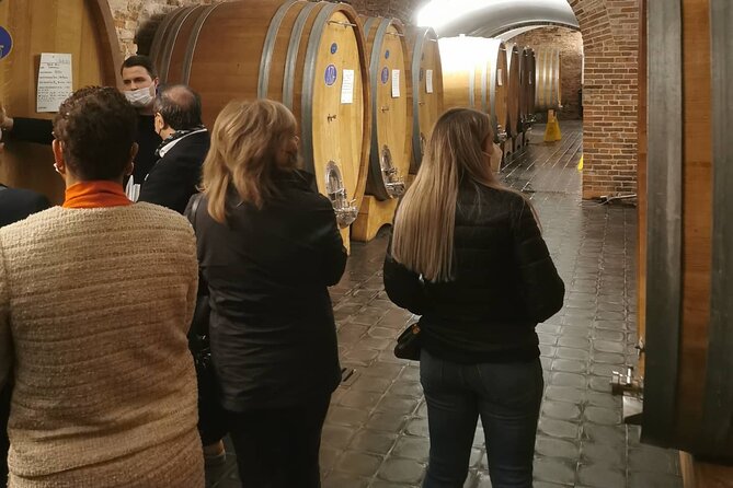 barolobarbaresco-wine-tour-with-a-local-winemaker-from-alba