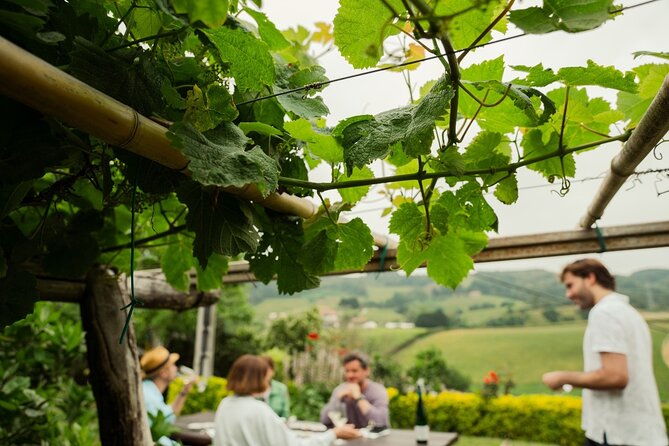 basque-cheese-and-txakoli-wine-private-gastronomic-adventure