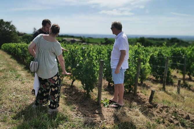 beaujolais-wine-tour-from-lyon-half-day