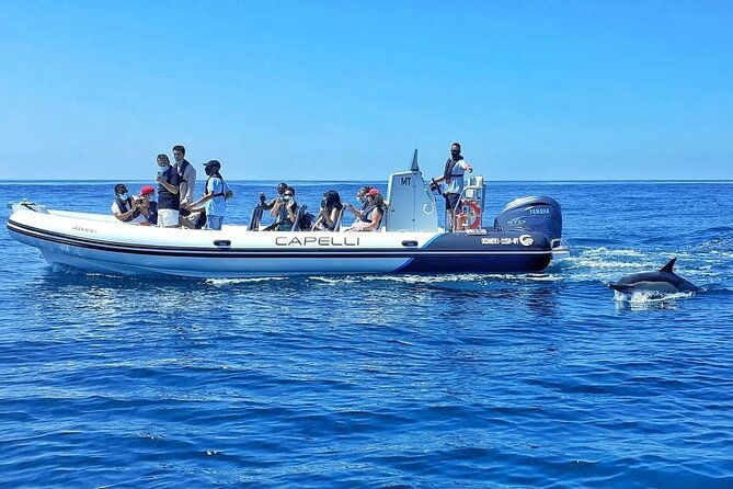 benagil-caves-visit-with-dolphins-watching-from-albufeira