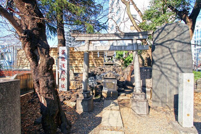 best-of-tokyo-city-walking-tour-for-kids-and-families