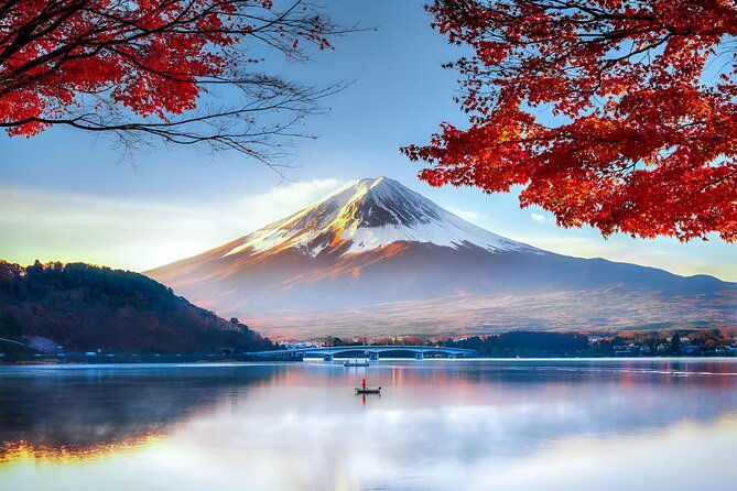 beyond-the-ordinary-private-mount-fuji-cherry-blossom-tour