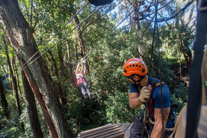 big-island-kohala-canopy-zipline-adventure