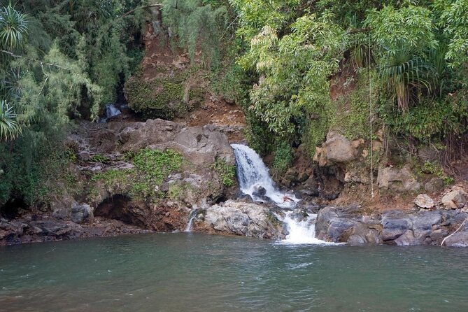 big-island-zipline-over-kolekole-falls